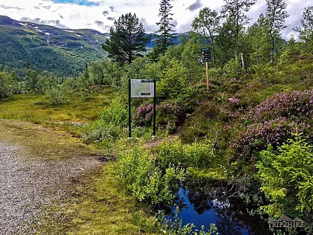My Bossbu Hiking Story — zdjęcie z galerii 2