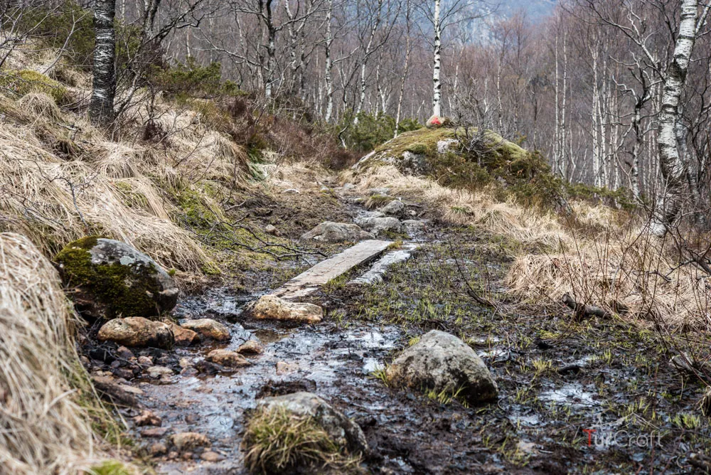 My Bjordal to Kvitlen Trail Story — zdjęcie z galerii 3