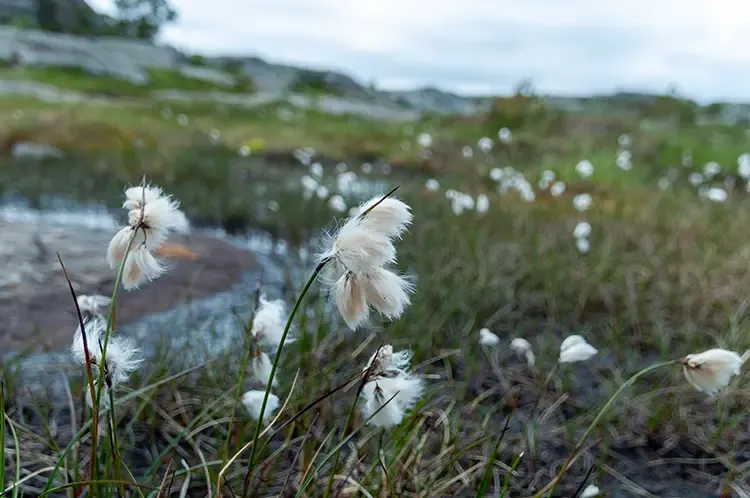 Preikestolen Hike — What the Trail Actually Feels Like — zdjęcie z galerii 4