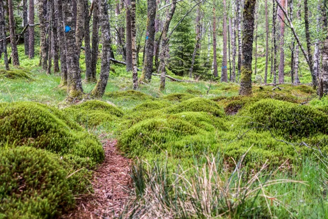 My Langevann Hiking Story — zdjęcie z galerii 5