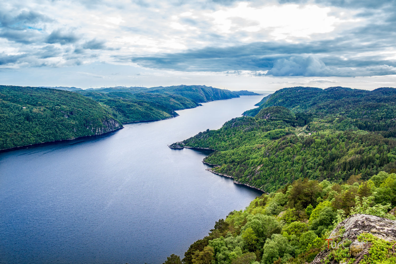 Forest and lake scenery on the Langevann hiking route in Norway